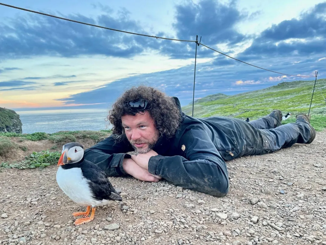 Tour guide Kevin Morgans lies on his stomach on a rocky landscape admiring a puffin that is standing in front of him.